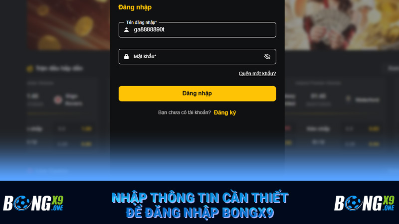 Nhập thông tin cần thiết để đăng nhập Bongx9