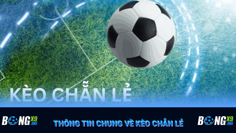 Thông tin chung về kèo chẵn lẻ