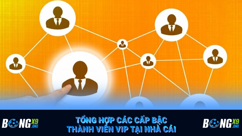 Tổng hợp các cấp bậc thành viên VIP tại nhà cái