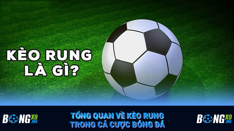 Tổng quan về kèo rung trong cá cược bóng đá
